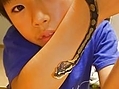 ւ4-11